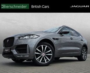 Jaguar F-Pace Gebrauchtwagen