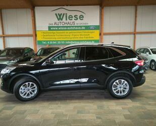 Ford Ford Kuga 2,5 FHEV AWD Titanium X,IACC,2xCam,GJR Gebrauchtwagen