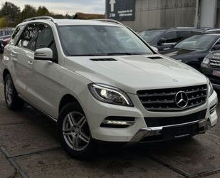 Mercedes-Benz Mercedes-Benz ML 250 CDI 4Matic BlueTec/2.Hd/Sport Gebrauchtwagen