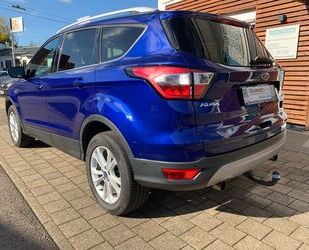 Ford Ford Kuga 1,5 EcoBoost 2x4 Titanium Benzin AHK Nic Gebrauchtwagen