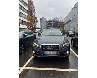 Audi Audi Q5 Top (Allrad) Gebrauchtwagen