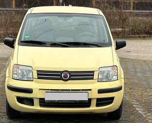 Fiat Fiat Panda 1.2 8V Dynamic Gebrauchtwagen