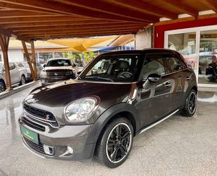 Mini MINI Countryman Cooper S All4 Navi Leder Panorama Gebrauchtwagen