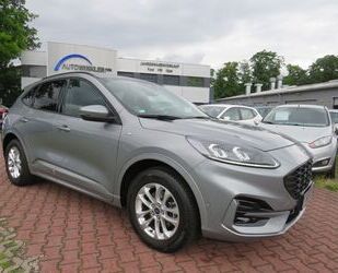 Ford Ford Kuga ST-Line X Allrad Gebrauchtwagen