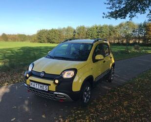 Fiat Fiat Panda Cross 4x4 Klimatronic, Top Gebrauchtwagen