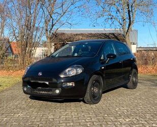 Fiat Fiat Punto 1.2 8V MORE MORE Gebrauchtwagen