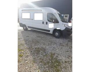 Fiat Fiat Ducato Grossr.-Kasten 35 130 L4H2 RS: 4035 mm Gebrauchtwagen