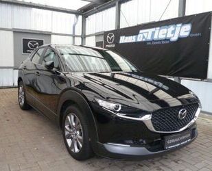 Mazda Mazda CX-30 2.0 Skyactive Automatik*Bose*Navi*Alu` Gebrauchtwagen