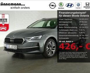 Skoda Skoda Octavia COMBI SELECTION TDI DSG+AHK+SITZ-/LE Gebrauchtwagen