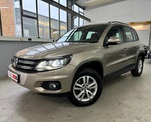 VW Volkswagen Tiguan Track & Field 4Motion 2.0 TDI+1. Gebrauchtwagen