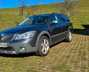 Skoda Skoda Octavia 1.8 TSI 4x4 Scout Combi Scout Gebrauchtwagen