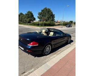 BMW BMW 645Ci Cabrio - individual onyx blue and champa Gebrauchtwagen