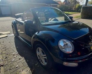 VW Volkswagen New Beetle 1.6 Cabriolet Standard Gebrauchtwagen