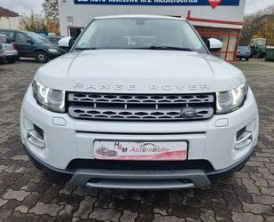 Land Rover Land Rover Range Rover Evoque Pure*Auto* Gebrauchtwagen