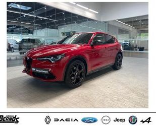 Alfa Romeo Alfa Romeo Stelvio 2.0 Turbo 16V AT8-Q4 Competizio Gebrauchtwagen