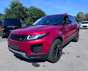 Land Rover Land Rover Range Rover Evoque *Panorama*Navi*R-Kam Gebrauchtwagen