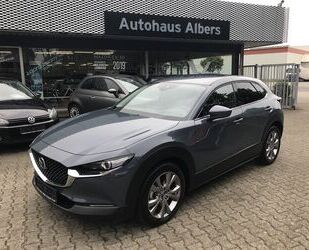 Mazda Mazda CX-30 SKYACTIV-D1.8 Selection, Leder, Bose, Gebrauchtwagen