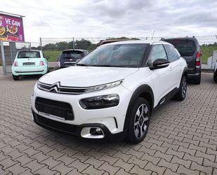 Citroen Citroën C4 Cactus Shine Panorama+NAVI+Kamera+Klima Gebrauchtwagen