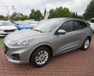 Ford Ford Kuga ST-Line X Gebrauchtwagen