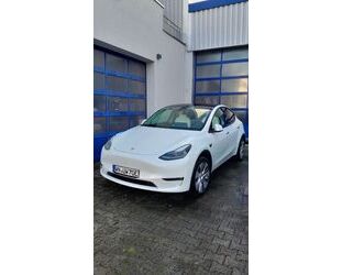 Tesla Tesla Model Y Long Range Dual weiß /weiss nur 6000 Gebrauchtwagen