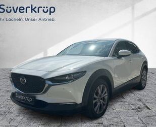 Mazda Mazda CX-30 2.0 Selektion *BOSE* ABS Fahrerairbag Gebrauchtwagen