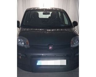 Fiat Fiat Panda 1.0 GSE Hybrid - Gebrauchtwagen