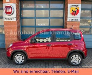 Fiat Panda Gebrauchtwagen