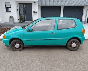 VW Volkswagen Polo 1.0 Standard Gebrauchtwagen