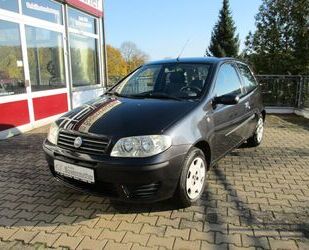 Fiat Fiat Punto 1.2 8V Active+Klima Gebrauchtwagen