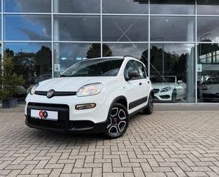 Fiat Fiat Panda City Life*8.999Km*TÜV neu*Sehr gepflegt Gebrauchtwagen