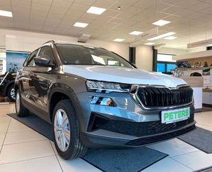 Skoda Skoda Karoq Selection TSI Kamera Kessy PDC Gebrauchtwagen