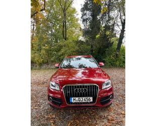 Audi Audi Q5 2.0 TFSI 132kW quattro - Gebrauchtwagen