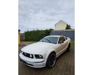 Ford Mustang Gebrauchtwagen