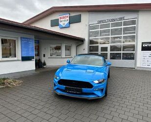 Ford Ford GT Convertible 451PS Cabrio Gebrauchtwagen