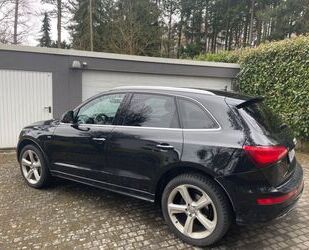 Audi Q5 Gebrauchtwagen