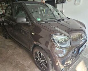 Smart Smart EQ ForFour 60kW Panoramafaltdach Gebrauchtwagen