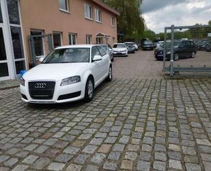 Audi Audi A3 1.6 Attraction GAS Gebrauchtwagen