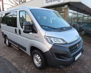 Fiat Fiat Ducato Kombi 33 140 Professional Gebrauchtwagen