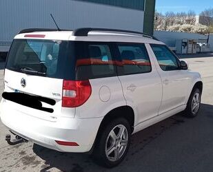 Skoda Skoda Yeti 2.0 TDI 4x4 Active Active Gebrauchtwagen