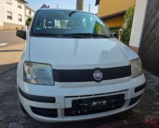 Fiat Fiat Panda Gebrauchtwagen