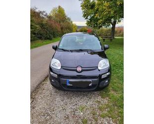 Fiat Fiat Verkaufe gebrauchten Panda MyStyle 1.2 6... Gebrauchtwagen