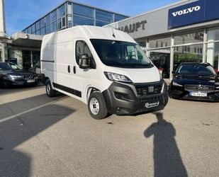 Fiat Fiat Ducato *35*L2H2*3-Sitzer*Rückfahrkamera*Apple Gebrauchtwagen