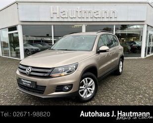 VW Volkswagen Tiguan Trend & Fun 1.4 TSI +1.HAND+AHK+ Gebrauchtwagen