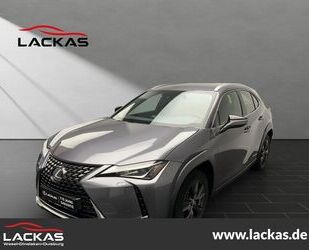 Lexus Lexus UX 250h STYLE*NAVI*SHZ*SCHECKHEFT*LED*GARANT Gebrauchtwagen