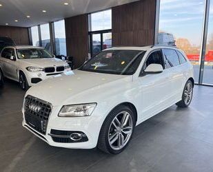 Audi Audi SQ5 3.0 TDI quattro Sport Pano Gebrauchtwagen