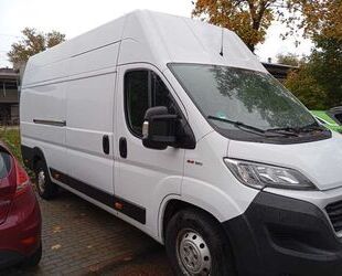 Fiat Fiat Ducato Maxi/extra lang und hoch/1.Hd./Scheckh Gebrauchtwagen