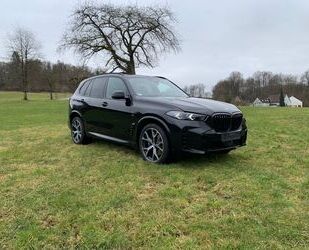 BMW BMW X5 xDrive40d M-Sport Edelholz Wärmekomfort Gebrauchtwagen