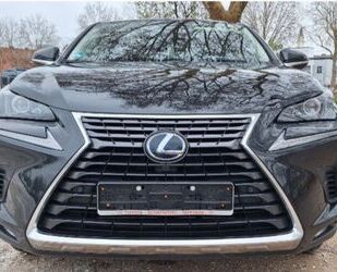 Lexus Lexus NX 300 300h Executive Line Executive Line Gebrauchtwagen