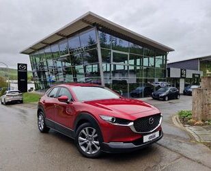 Mazda Mazda CX-30 150 PS Selection PRE-P *GARANTIE* Gebrauchtwagen