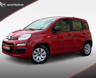 Fiat Fiat Panda More * Anhängerkup * TÜV & nspektion ne Gebrauchtwagen